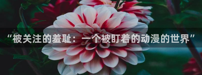 禁漫天堂公告板：“被关注的羞耻：一个被盯着的动漫的世界”